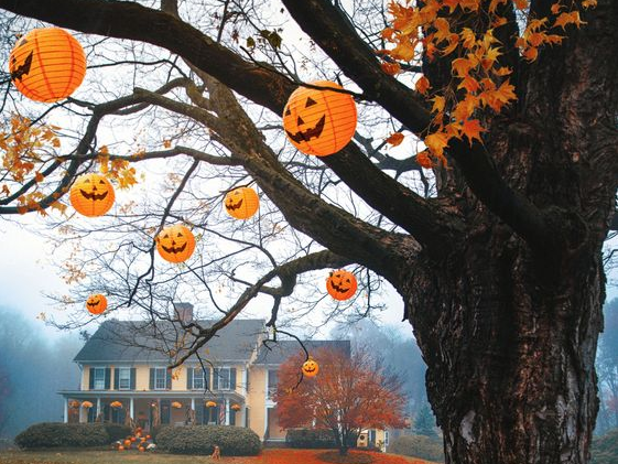 Halloween lanterns in a tree with a country house in the background