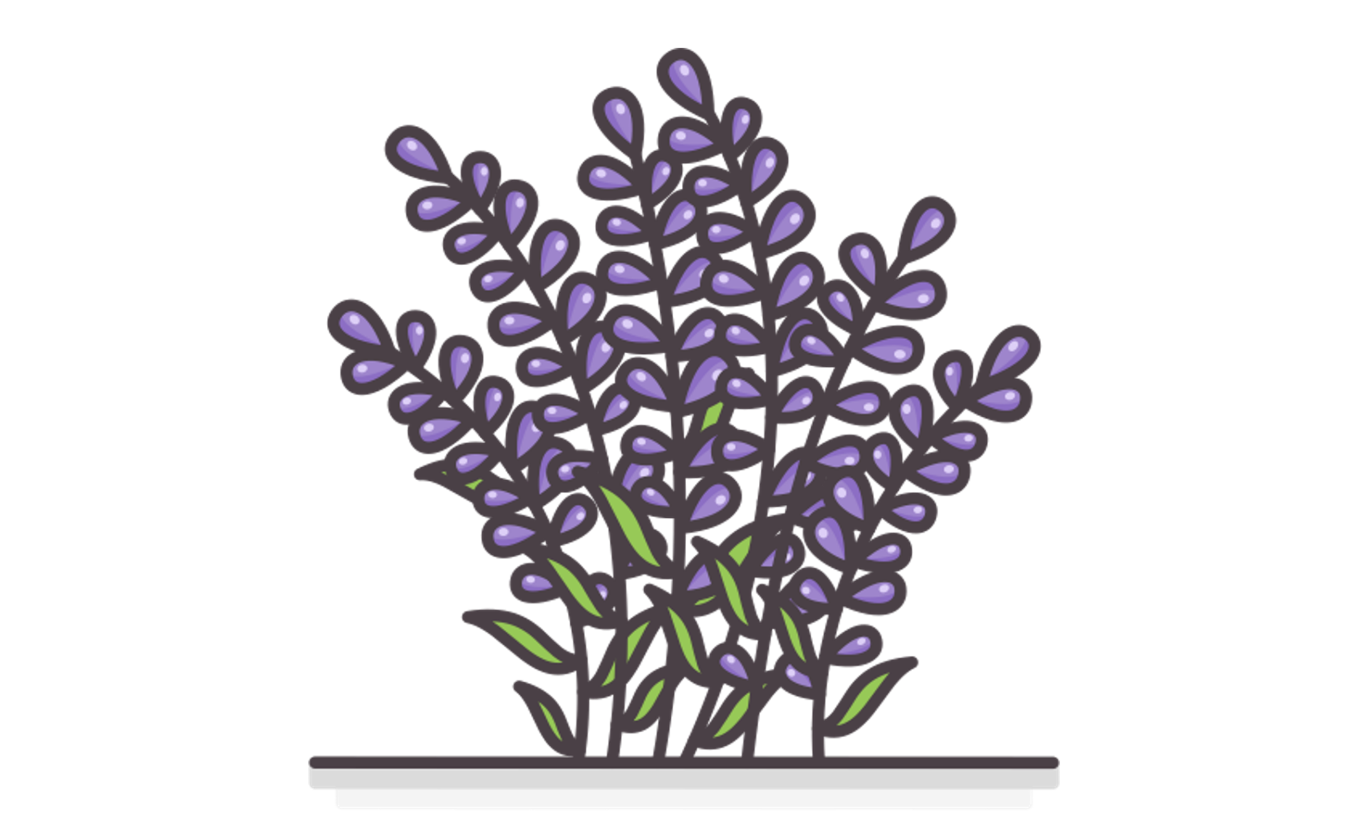 Icon of lavender bush